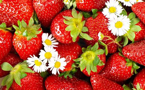 Strawberry Wallpapers, Pictures, Images