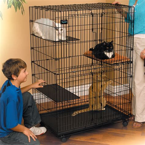 Midwest Homes For Pets Cat Cage And Playpen And Reviews Wayfair