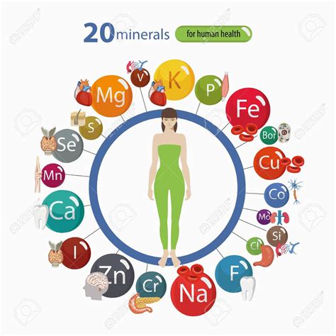20 Minerals Microelements And Macro Elements And Their Effect On The