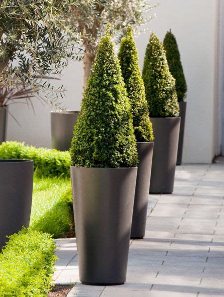 Keep your plants safe in style with outdoor pots and planters from at home. ALTO Tall Round Tapered Outdoor Planter Pot | Outdoor ...