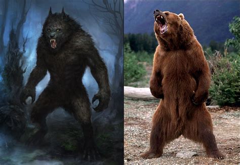 Werewolf Vs Grizzly Bear Battles Comic Vine