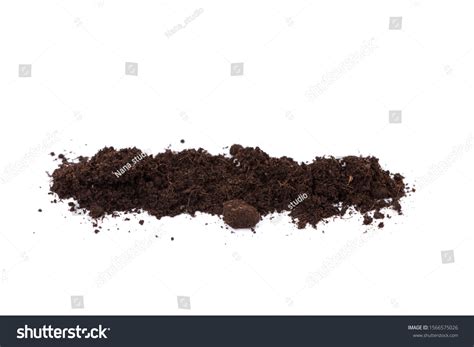 14176 Dirt Patches Images Stock Photos And Vectors Shutterstock