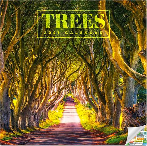 Trees Calendar 2021 Bundle Deluxe 2021 Trees Wall Calendar With Over