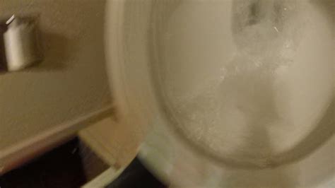 Sub D Flushed My Gopro Down The Toilet Youtube