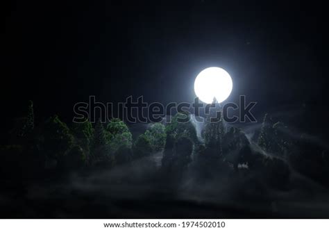 Full Moon Over Forest Night Scenic Stock Photo 1974502010 Shutterstock