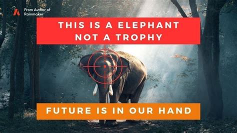 Petition · Protect Zimbabwes Totem Animals Save The Elephants