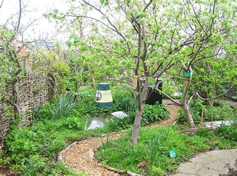 5 Amazing Food Forest Gardens Thisnzlife