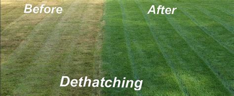 Now that the thatch has been removed your st augstine grass should flourish. Dethatching | Unks Lawn Care | Mowing | Lawn Maintenance ...