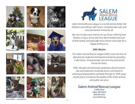 Salem Animal Rescue League 2024 Calendar Yearbox Calendars