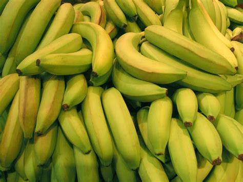 Free Green Banana Photo Fresh Bananas Image Royalty Free Fruit Stock