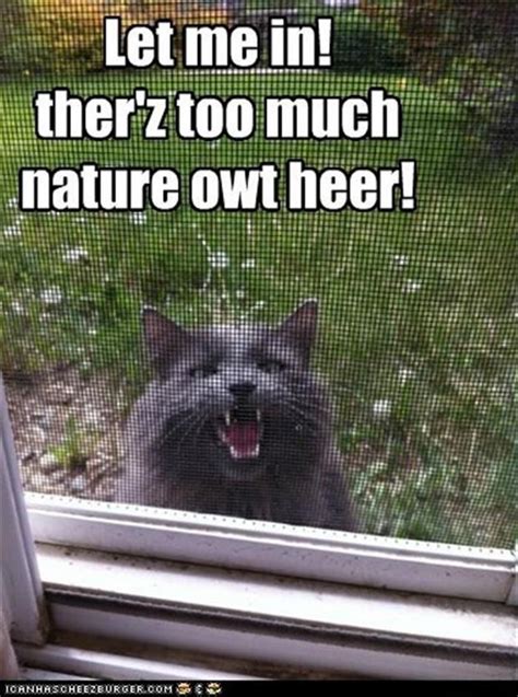 Funny Animal Pictures Of The Day 41 Pics Funny Animals With Captions