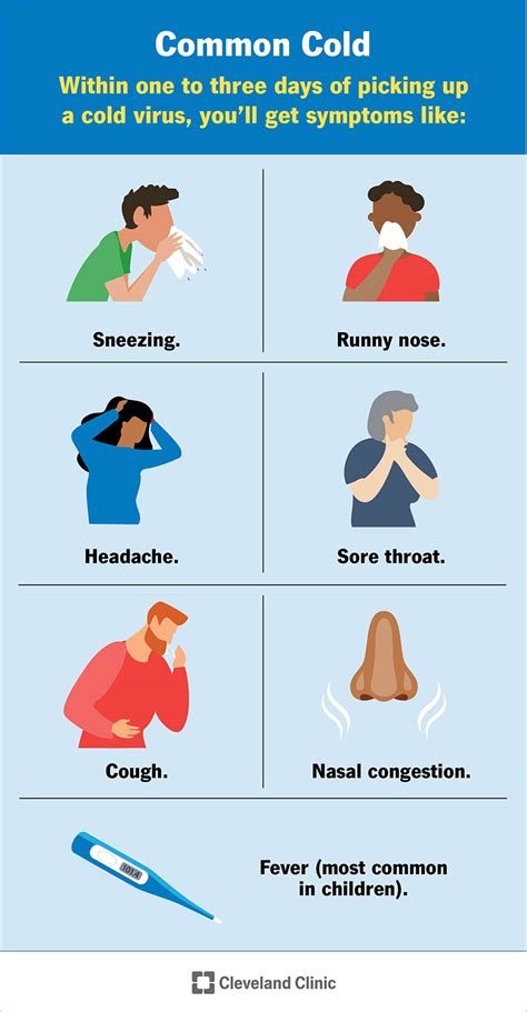 Common Cold Symptoms Cold Vs Flu Treatment
