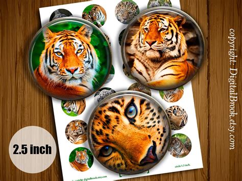Digital Collage Sheet Tigers 25inch Printable By Digitalbrook