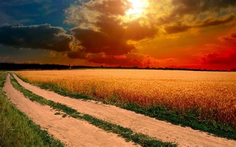 Village Road Field With Mature Wheat Horizon Sunset Sky With Dark Red
