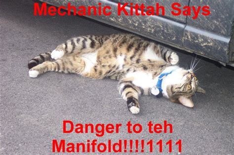 Mechanic Kittah Funny Cat Pictures