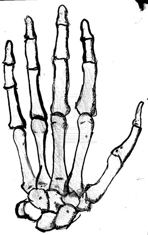Hand Sketch Skeleton Drawings Skeleton Hands Drawing Skeleton Hand