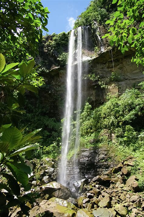 Waterfall In Jungle Iriomote Island By Ippei Naoi