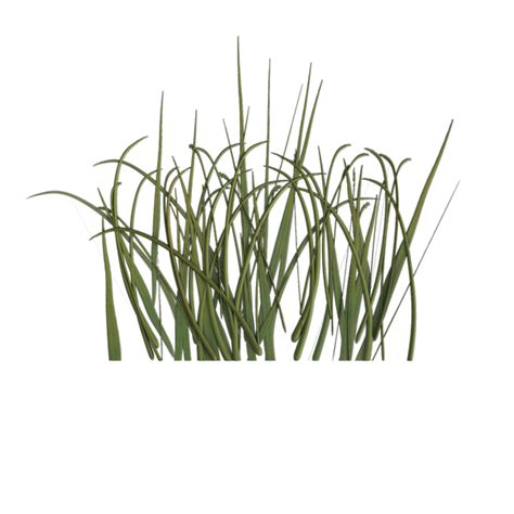 Grass Texture Generator Free Pbr Texturecan