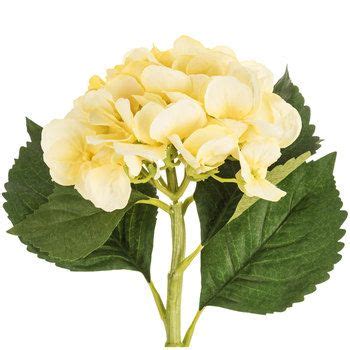 3,390 hydrangea yellow products are offered for sale by suppliers on alibaba.com, of which a wide variety of hydrangea yellow options are available to you, such as wedding, christmas, and valentine's. Light Yellow Hydrangea Stem | Hobby Lobby | 744730 ...