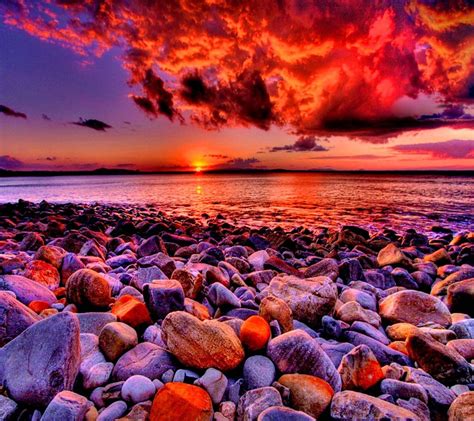 Sunset Wallpaper By Sonia Ce Free On Zedge™ Cool Backgrounds