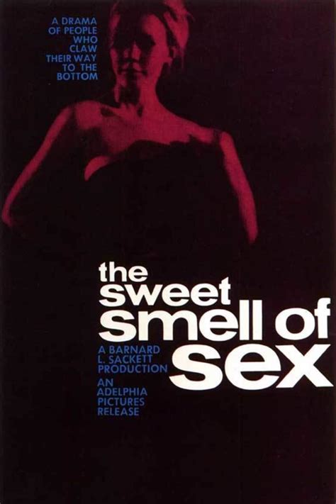Sweet Smell Of Sex Película 1965 Tráiler Resumen Reparto Y Dónde