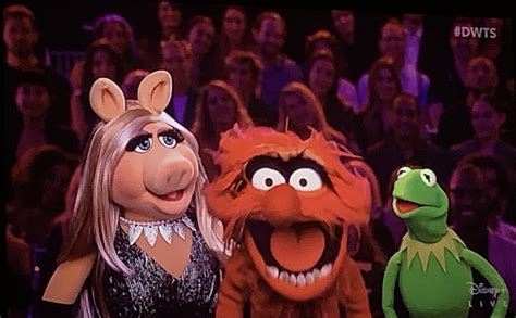 Muppet Stuff The Muppets On Dancing With The Stars
