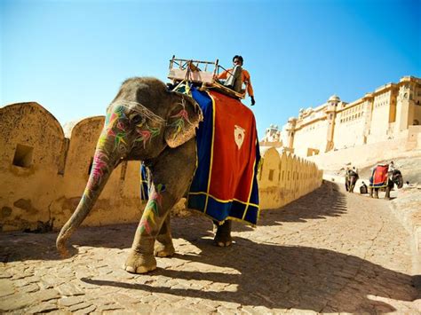 Experience Royal Rajasthan With Amber Fort Elephant Ride
