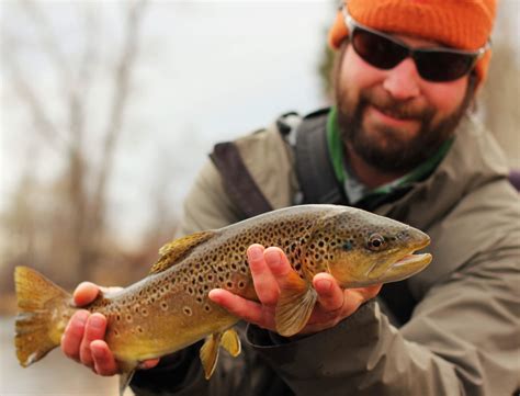Guided Fly Fishing Montana The Missoulian Angler Fly Shop