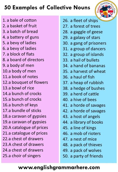 50 Examples Of Collective Nouns English Grammar Here Collective