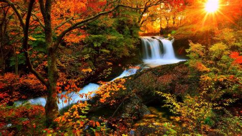 Pin By Dawn Aiello On Seasons Autumn Waterfalls Fall Photography