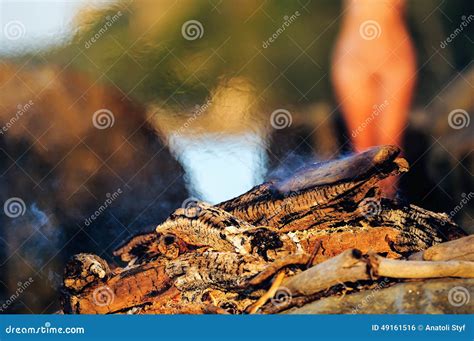 Nude Woman Near The Bonfire Stock Photo Image Of Beauty Nude