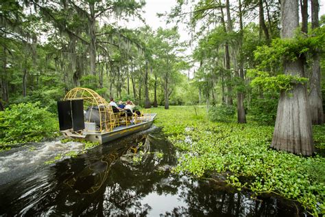 Songs From Louisiana About Louisiana | Louisiana Official Travel and Tourism Information