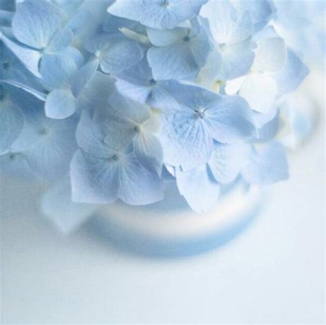 Pastel Blue Aesthetics Wiki Art And Aesthetic