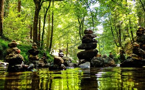 Stones Pebbles Rocks Bushes Trees Leaves Green Grass Water Stream River