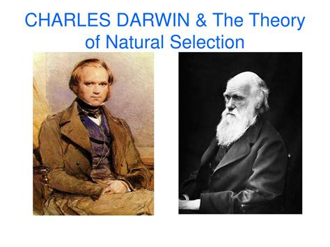 Ppt Evolution Overview Charles Darwin Powerpoint Presentation Free 7c1