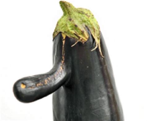 Bizarre Fruit Eggplant Looks Like It Has A Nose Newcastle Herald Newcastle Nsw