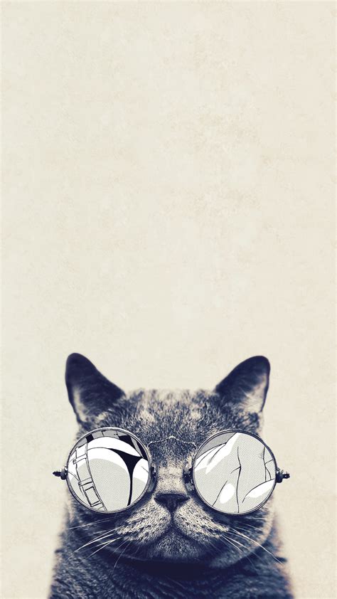 Cool Cat Hd Wallpaper Wallpapersafari