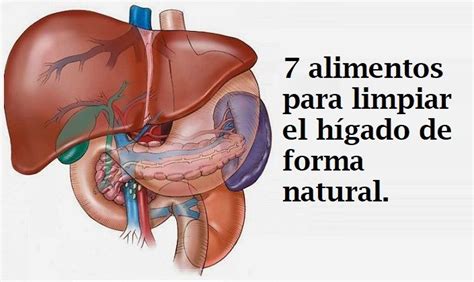 Haz Esta Limpieza De H Gado Y Ves Cula Y Desaparece Hasta S Ntomas