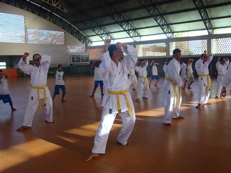Associação Centro América de Karatê Shotokan Relatório Teinamento de Kata Heian