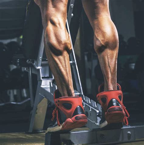 Build Massive Calf Muscles With These Exercises Calf Exercises Best
