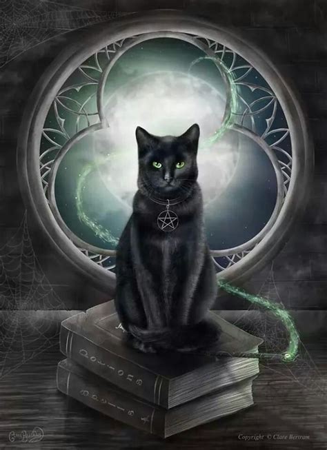 Pin By Angie Sheehan On Wicca Black Cat Art Magic Cat Cat Art