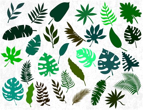 Silhouette Leaves Svg Files 290 Crafter Files