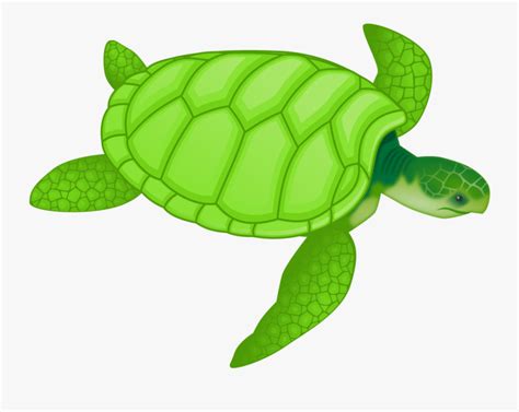 Onlinelabels Clip Art Green Sea Turtle Clipart Free Transparent