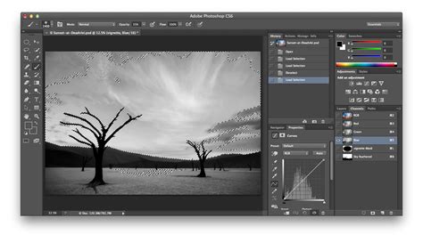 Photoshop Training Classes In Chicago