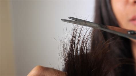 Does Cutting Your Hair Actually Make It Grow Faster You Need To Read