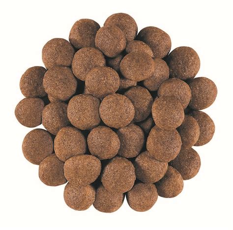 The nutritious and popular packaged dog foods support balanced growth and include specially selected ingredients for optimal health and wellbeing. Royal Canin Veterinary Diet Dog GASTROINTESTINAL - Krmeni.cz
