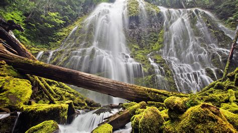 Waterfalls And Green Trees Nature Waterfall Long Exposure Hd