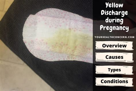 Yellow Discharge During Pregnancy Your Health Concern