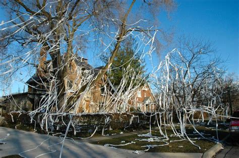 Mischief Night Pranks May Be No Laughing Matter The Knight Crier