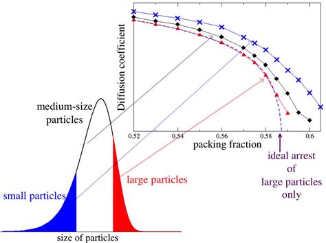 On Polydispersity And The Hard Sphere Glass Transition An Overview Of